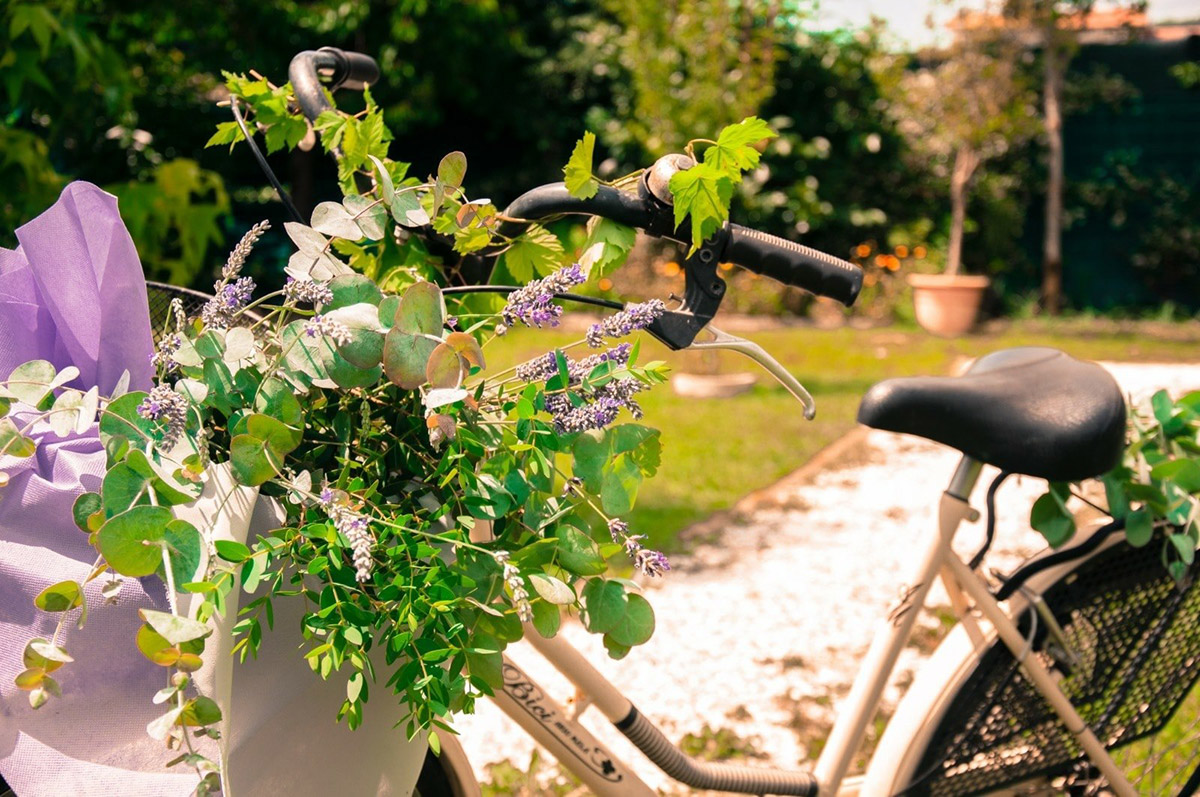 la via delle erbe e dei fiori